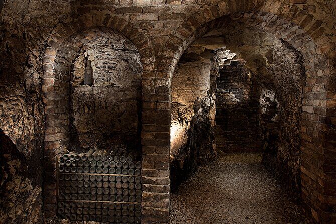 Langhe (Piedmont): Wine Tasting Experience - Final Thoughts: Who Will Love This Tour?