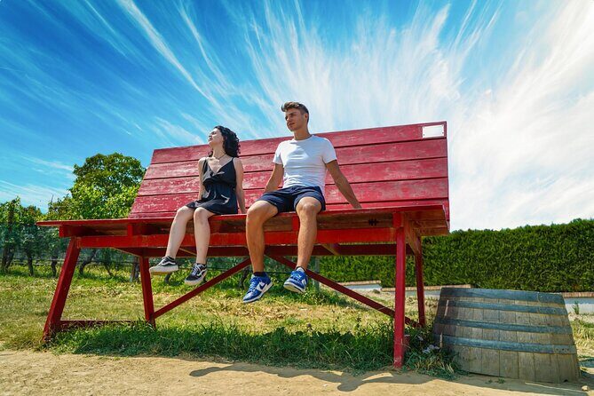 Langhe Vespa Electric Tour - Practical Considerations and Reviews