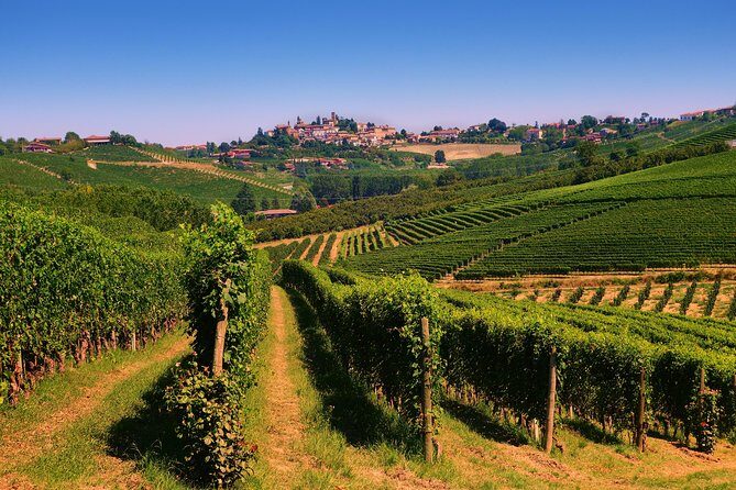 Langhe Wine & Food Tour from Turin: Barolo and More - Final Thoughts