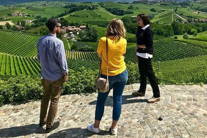 Langhe Wine Tour and Tasting - One day with a Somm - An Honest Look at the Langhe Wine Tour and Tasting with a Sommelier