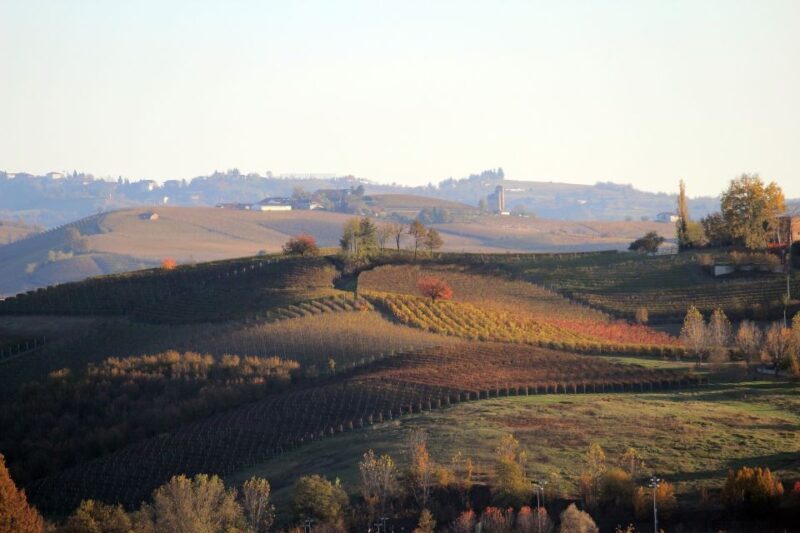 Langhe: Winery Tour and Wine Tasting - FAQ