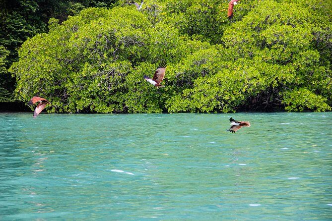 Langkawi Half Day Island Hoping Tour- Sharing basis - The Itinerary in Detail: What to Expect