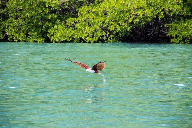Langkawi Half Day Island Hoping Tour- Sharing basis - Practical Tips for Making the Most of Your Tour