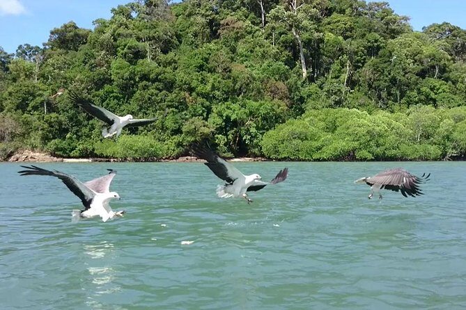Langkawi Island Hopping Boat Tour with Return Transfer - A Detailed Look at the Langkawi Island Hopping Experience