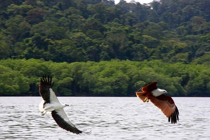 Langkawi Island Hopping Private Boat Tour with Transfer - An In-Depth Look at the Tour