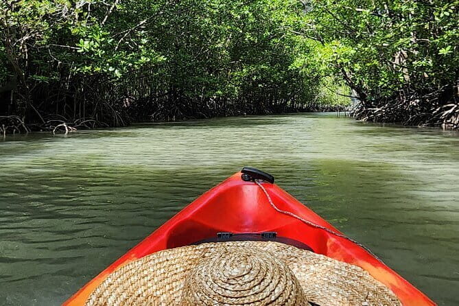 Langkawi Mangrove Kayak Tour by Sham - The Full Experience Breakdown