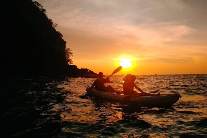 Langkawi Mangrove Kayak Tour by Sham - Final Thoughts: Is It Worth It?