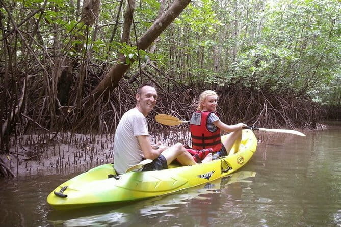 Langkawi Mangrove Kayaking Tour - A Deep Dive into the Langkawi Mangrove Kayaking Tour