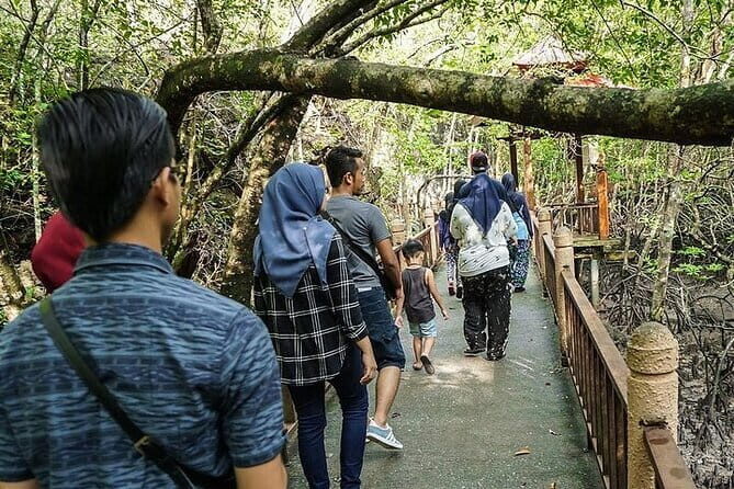 Langkawi Mangrove Kilim UNESCO Geopark and Cave Exploring Tour - The Value of This Tour