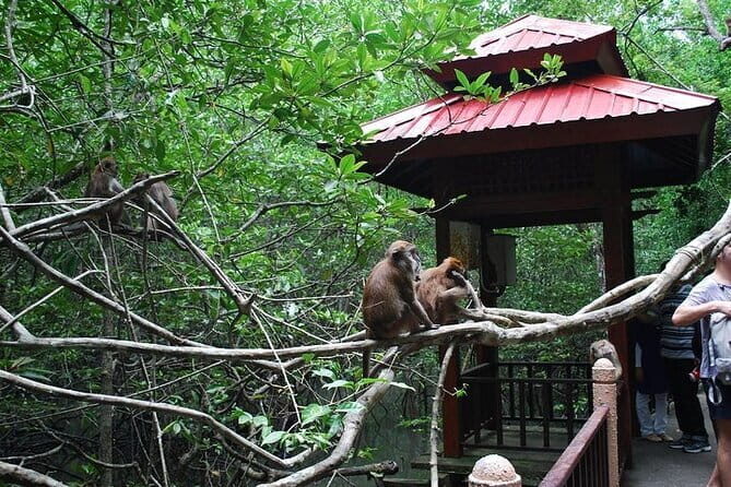 Langkawi Mangrove Kilim UNESCO Geopark and Cave Exploring Tour - Practical Considerations and Tips