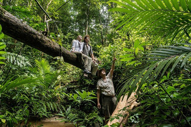 Langkawi Rainforest Jungle Trekking Tour with Private Pickup - FAQ