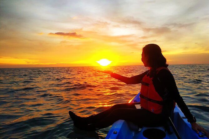 Langkawi Sunset Mangrove Kayak - An In-depth Look at the Langkawi Sunset Mangrove Kayak Experience