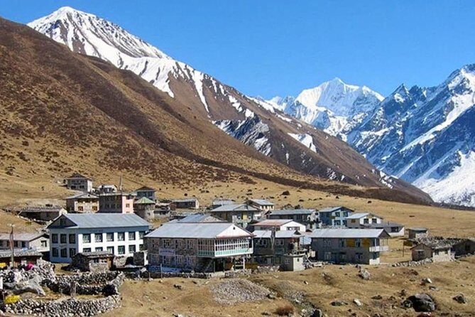 Langtang Adventure Trek - Exploring the Langtang Adventure Trek: An Authentic Himalayan Journey