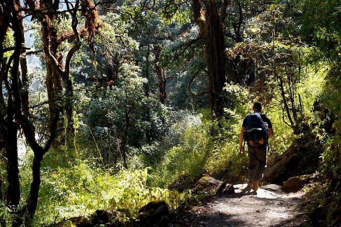 Langtang Journey: Trekking in Nepal's Langtang National Park - Entering the Heart of the Himalayas