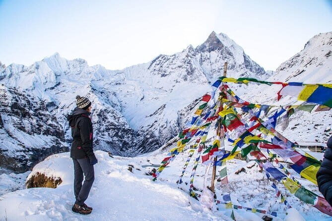 Langtang Trek from Kathmandu 7 Days - Day 5: Summit at Kyanjin Ri and Return to Lama Hotel