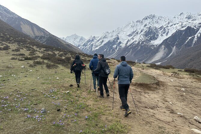 Langtang Trekking - The Itinerary Breakdown: What to Expect at Each Stop