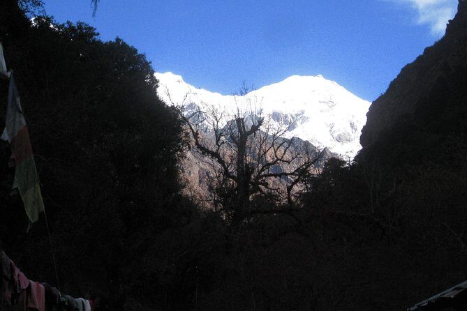 Langtang Valley Trek - Final Thoughts — Is This Trek Right for You?