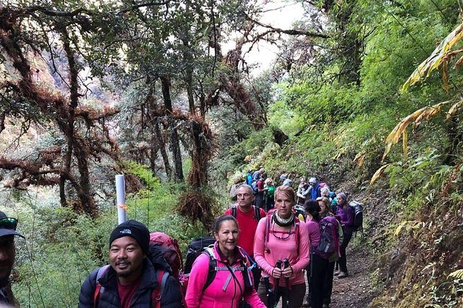 Langtang Valley Trek - Who Is This Trek Best For?