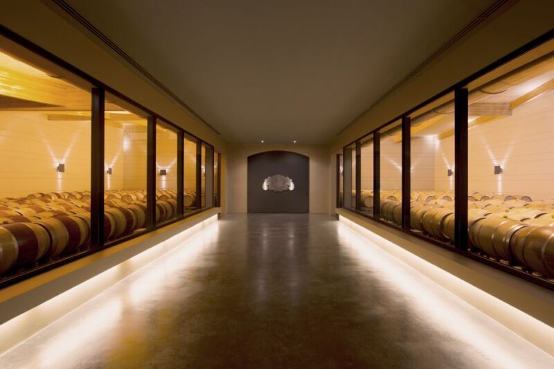 Languedoc: Tour and Tasting at Domaine de Baronarques - Discovering the Domaine de Baronarques: A Winemaking Journey in South France