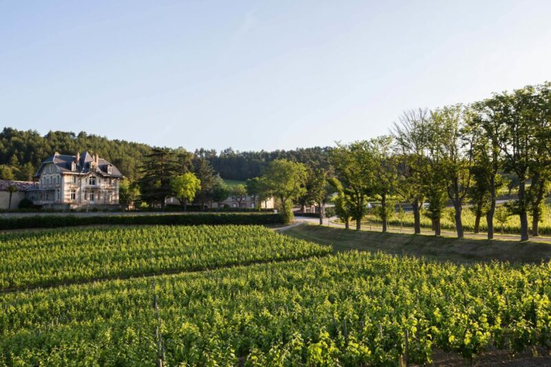 Languedoc: Tour and Tasting at Domaine de Baronarques - Who Will Benefit Most from This Tour?