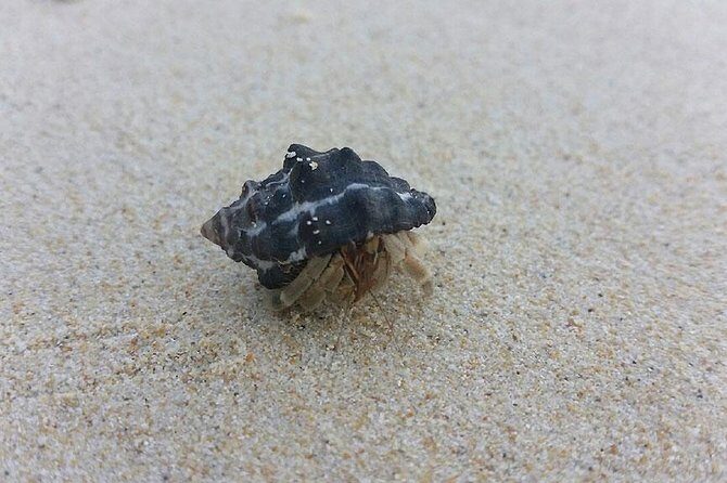 Lanta 4 Islands + Emerald Cave Snorkeling Tour - Final Verdict: Who Is This Tour Best For?