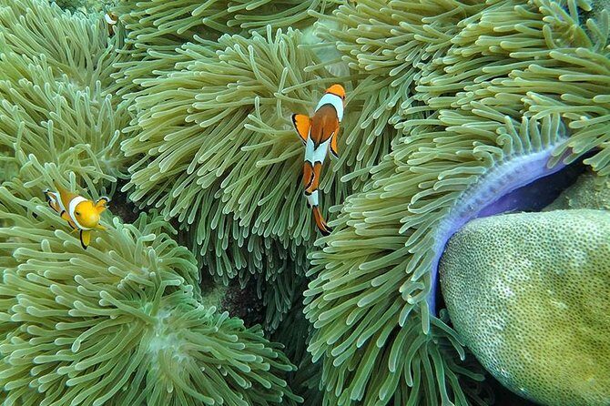 Lanta 4 Islands + Emerald Cave Snorkeling Tour - FAQs