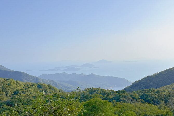 Lantau Island Highlights and Attractions - An In-Depth Look at the Tour Itinerary