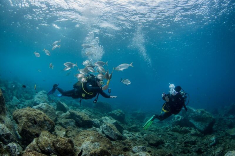 Lanzarote: Beginner Scuba Diving from the Beach - FAQ
