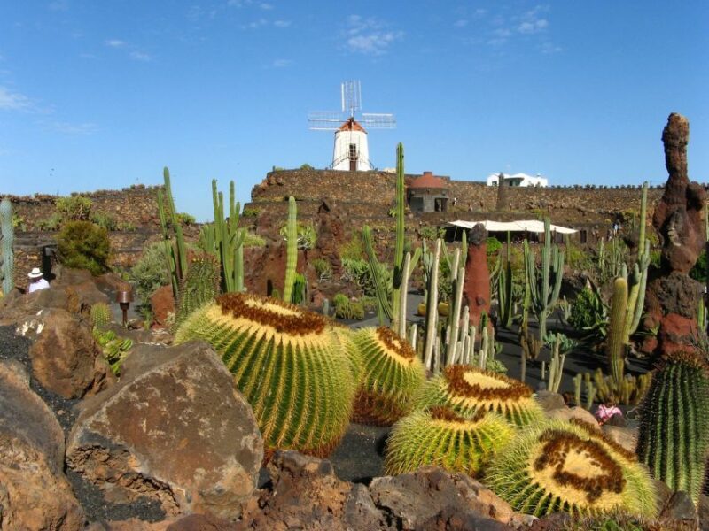 Lanzarote Coast-2-Coast Tour - FAQ