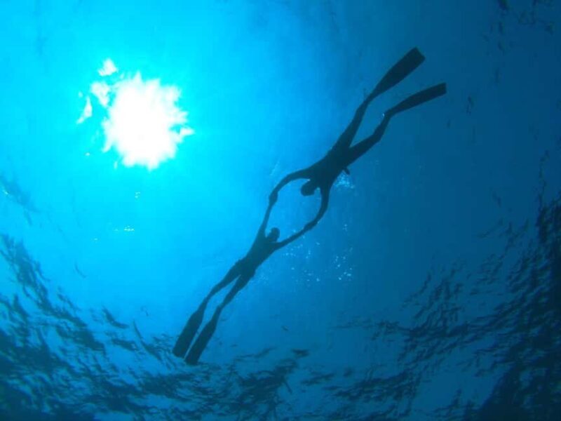 Lanzarote: Discovery Freediving Course in one day - What to Expect from the Freediving Course in Lanzarote
