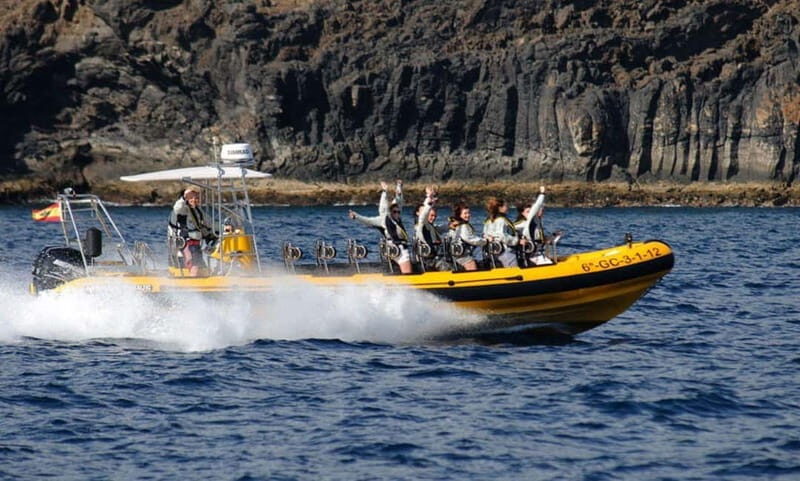 Lanzarote: Dolphin Watching by speedboat - The Sum Up