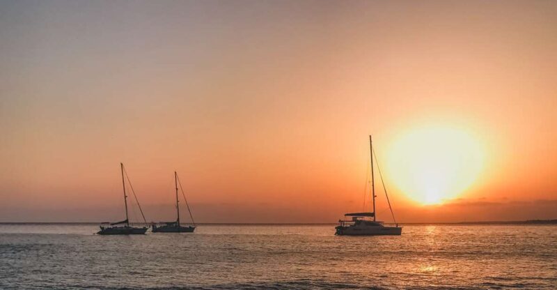 Lanzarote: Dolphin-Watching Sunset Cruise with Transfers - An In-Depth Look at the Experience