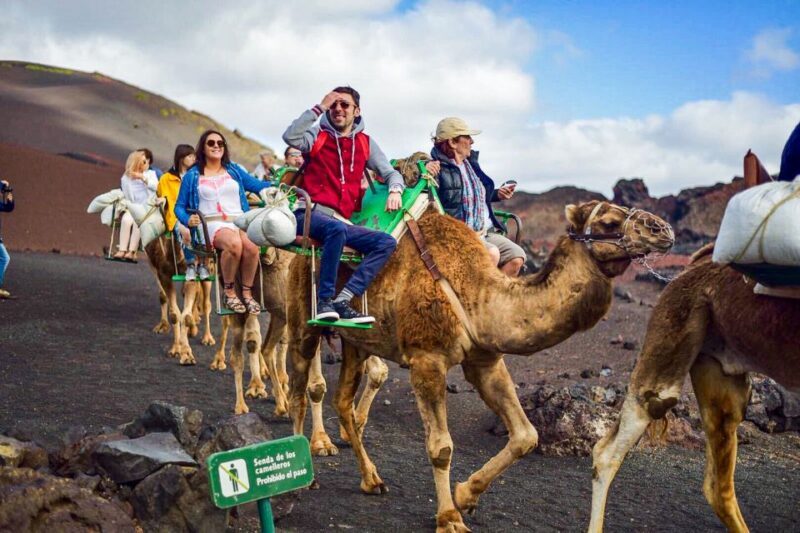 Lanzarote: Full-Day Island Highlights Tour - The Sum Up