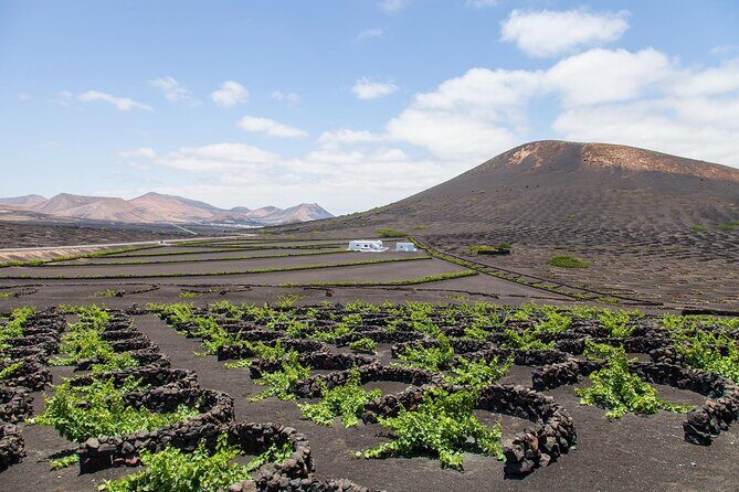 Lanzarote Grand Tour - Authentic Perspectives from Travelers