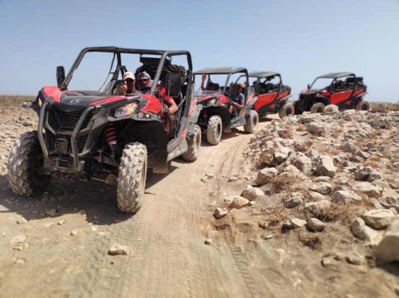 Lanzarote: Guided Can-Am Trail Buggy Tour - What to Expect from the Lanzarote Buggy Tour
