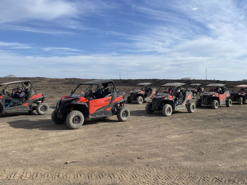 Lanzarote: Guided Can-Am Trail Buggy Tour - Who This Tour Is Best For
