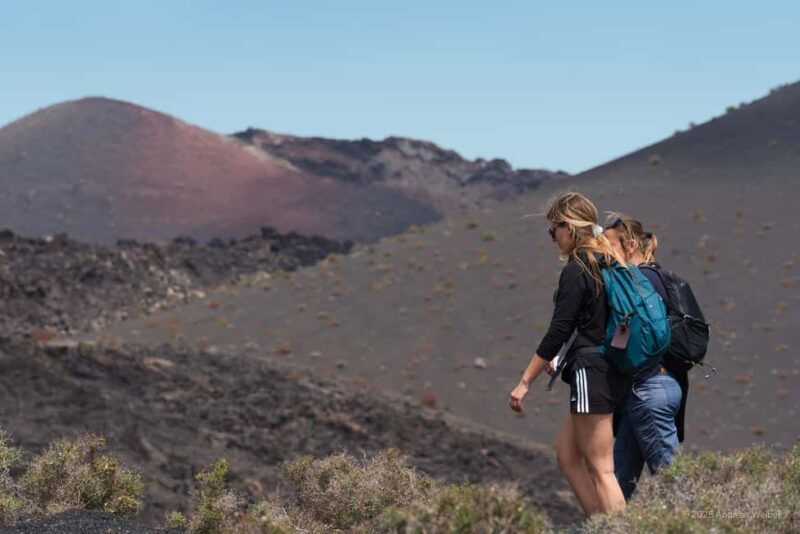 Lanzarote: Guided Hike discover volcano history and culture - What to Expect from the Lanzarote Guided Hike