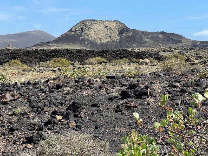 Lanzarote: Guided Hike discover volcano history and culture - The Value of the Experience