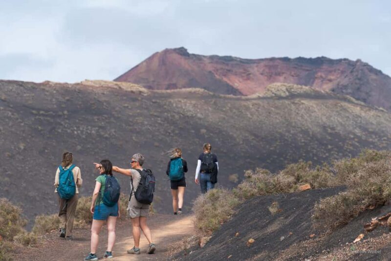 Lanzarote: Guided Hike discover volcano history and culture - The Sum Up