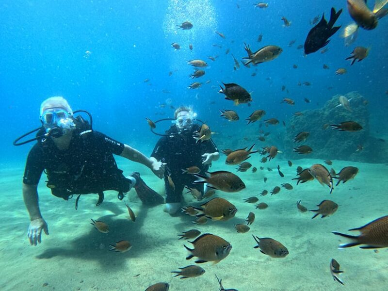 Lanzarote: Intro to Diving Experience for Beginners - Key Points