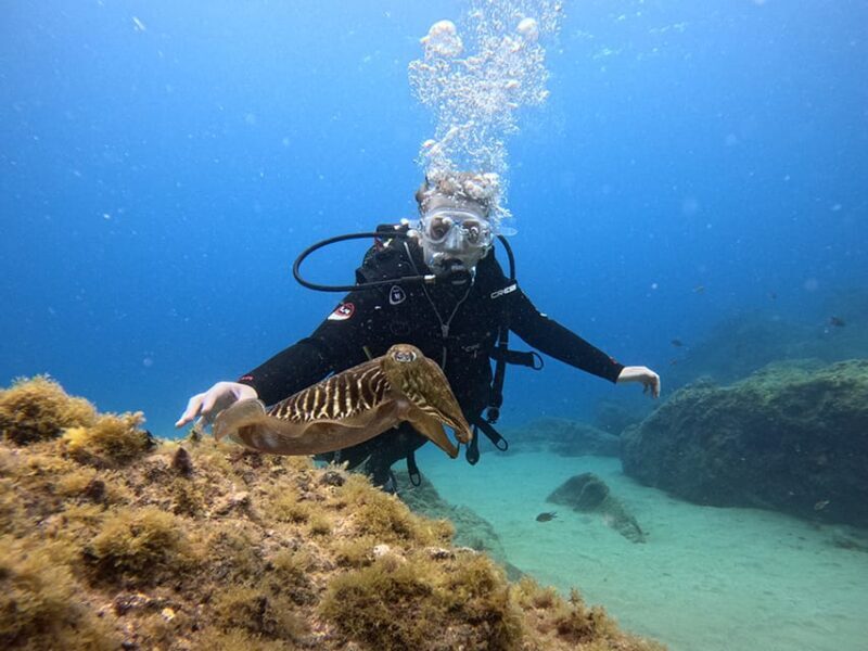 Lanzarote: Intro to Diving Experience for Beginners - Final Thoughts: Why You Should Try This
