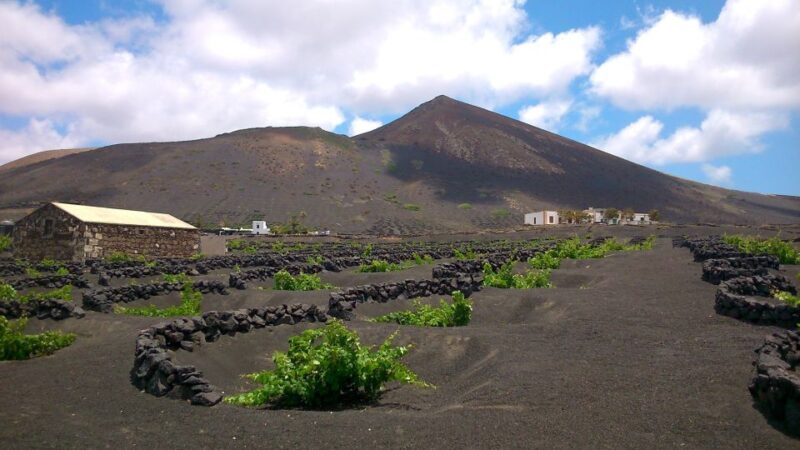 Lanzarote: La Geria Vineyards Hiking Tour - How the Tour Unfolds: An Overview of the Itinerary