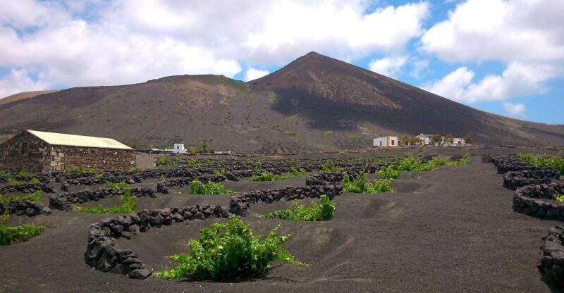Lanzarote: La Geria Vineyards Hiking Tour - Practical Details: What Travelers Should Know
