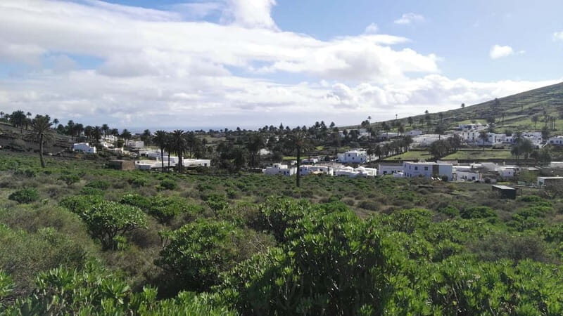 Lanzarote: Northern Cliffs & Valleys Walking tour - Transportation, Group Size, and Practicalities