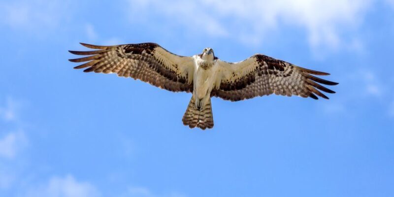 Lanzarote: Northern Cliffs & Valleys Walking tour - Who Will Love This Tour?