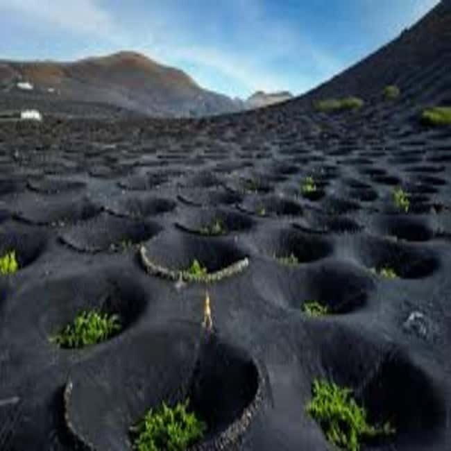 Lanzarote: Premium Grand Tour 8h - Final Thoughts: Is It Worth It?