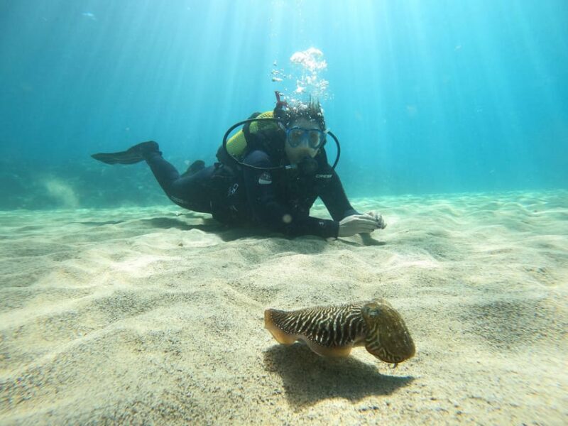 Lanzarote: Scuba Diving for Beginners - 1 Dive - Key Points