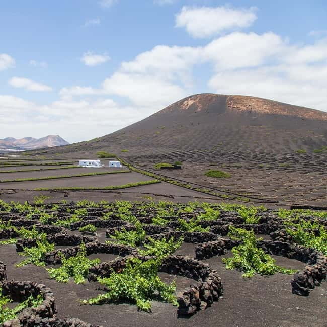 Lanzarote: Short South Excursion 5h - FAQs
