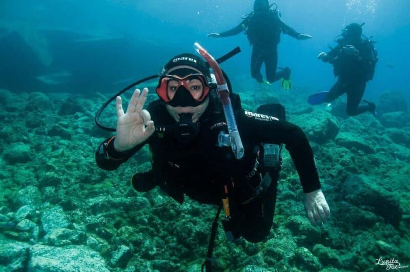 Lanzarote: Snorkeling Tour - Who Will Love This Tour?