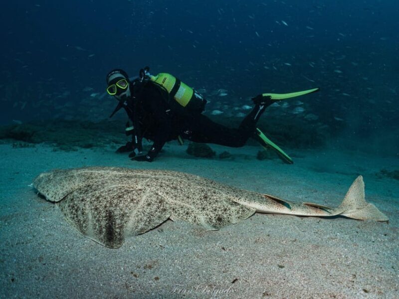 Lanzarote: SSI Open Water Diver Course - Frequently Asked Questions